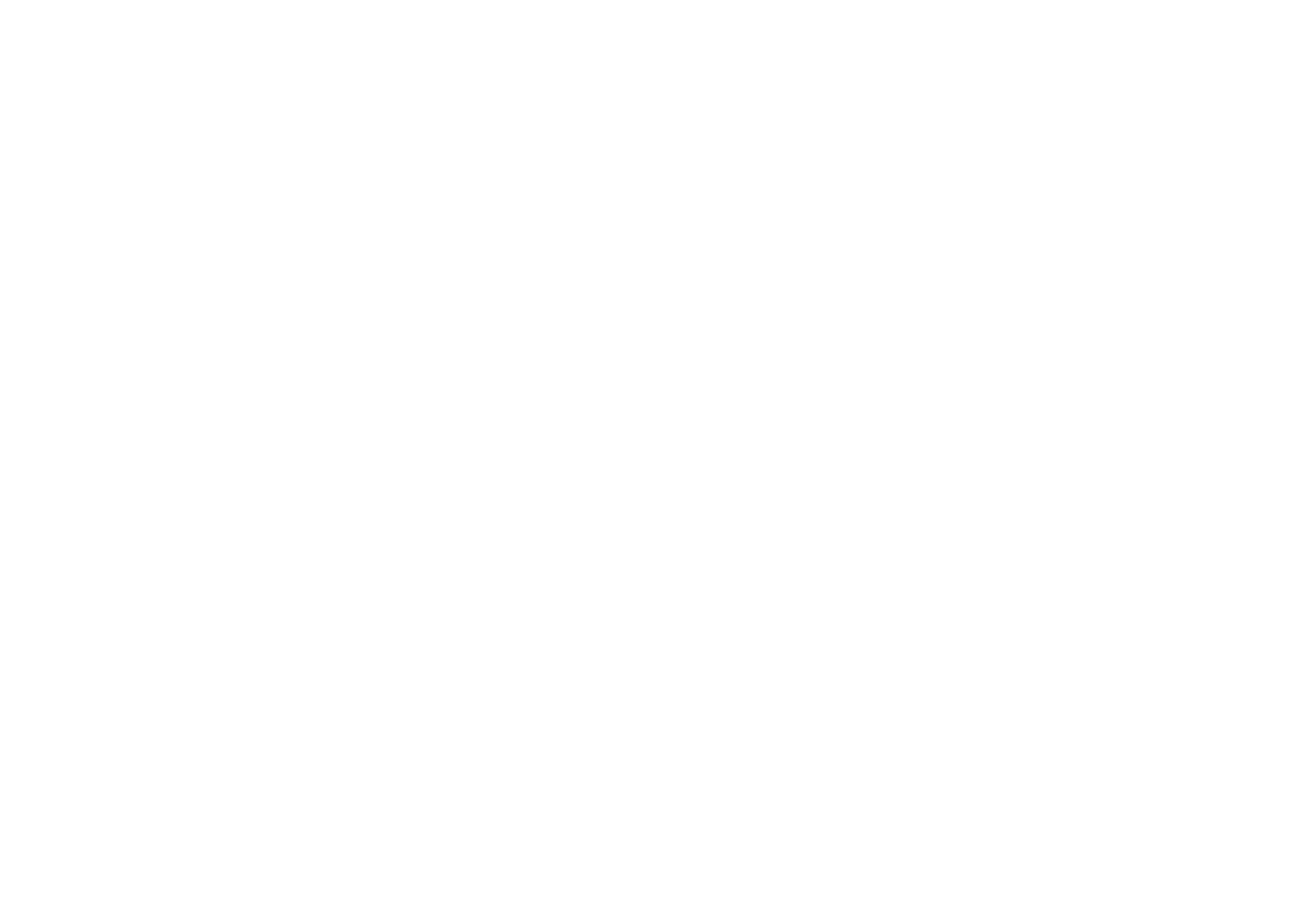 Leczcore
